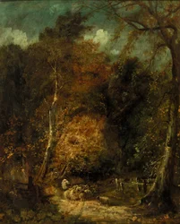 Paysage boisé
